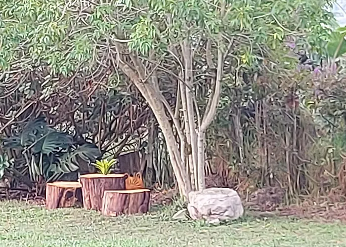Naturaleza En Armonia