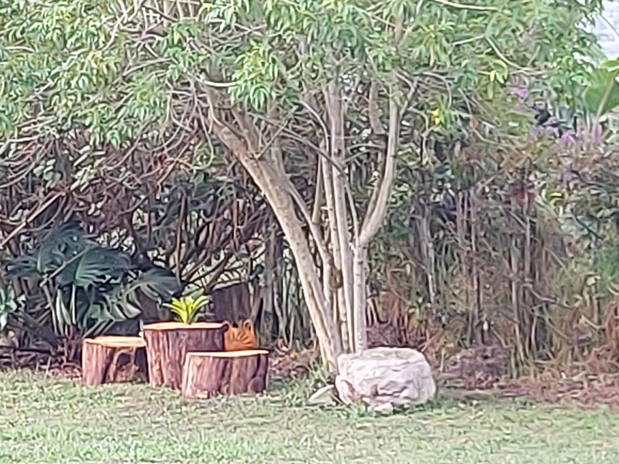 Naturaleza En Armonia Lodge San Francisco (Cundinamarca)