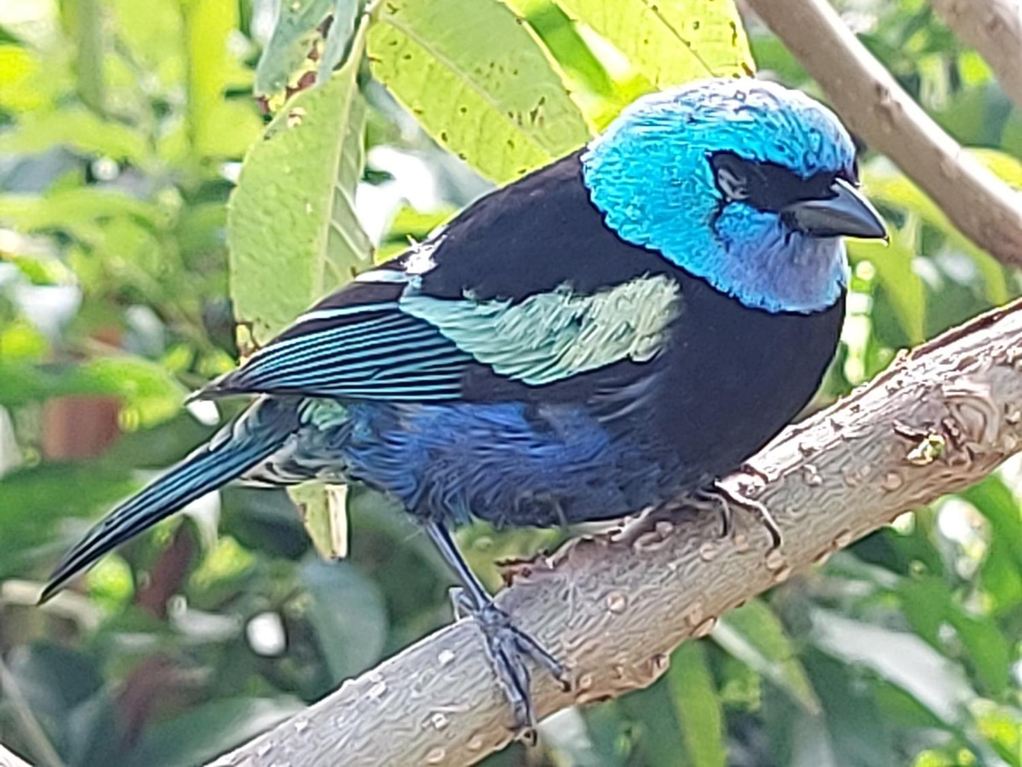 Naturaleza En Armonia